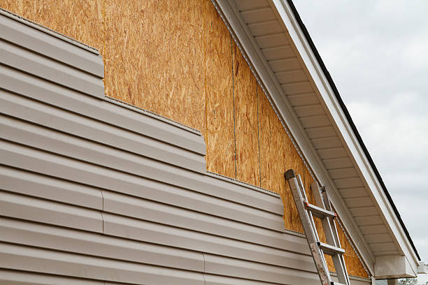 Professional Siding Inspection technician working in Higganum, CT